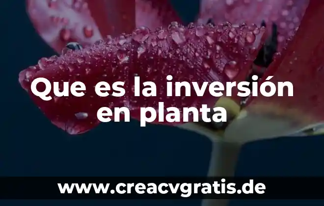 Que es la energia radiacion 5 Que es la inversión en planta