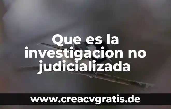 En la investigación de mercados que es una entrevista 5 Que es la investigacion no judicializada