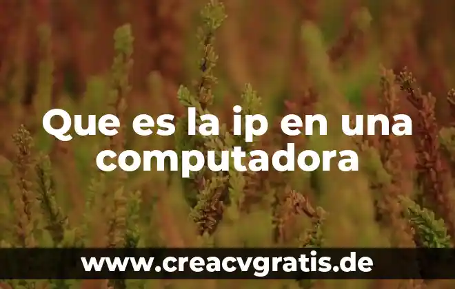 Que es el joystick de la computadora 6 Que es la ip en una computadora