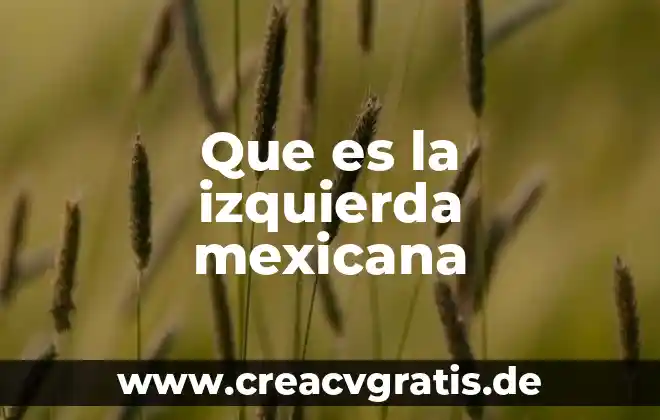 Que es una escolta de bandera mexicana 3 Que es la izquierda mexicana