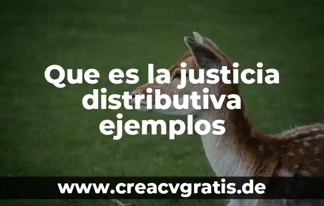 Que es el tipo de justicia distributiva 5 Que es la justicia distributiva ejemplos