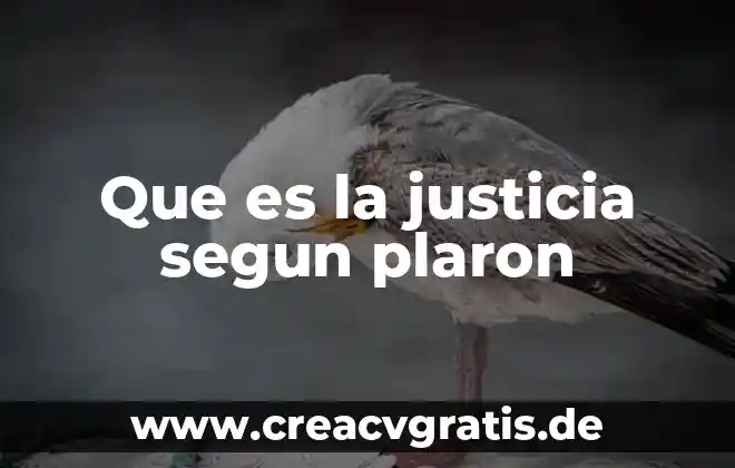 Qué es el ser humano según filosofía 7 Que es la justicia segun plaron