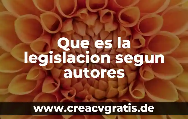 Que es calidad de servicio segun autores 8 Que es la legislacion segun autores