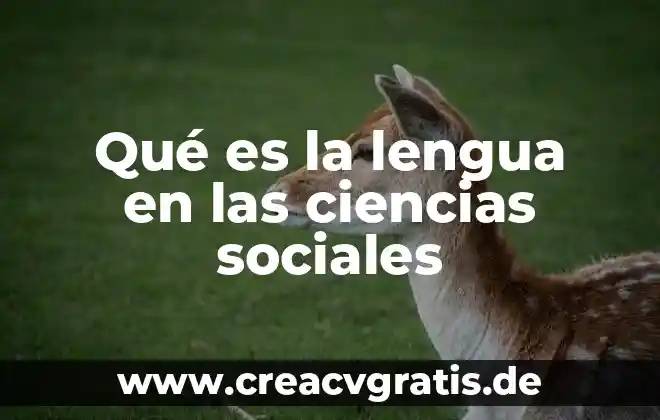 Que es el ente conocido comk 3 Qué es la lengua en las ciencias sociales