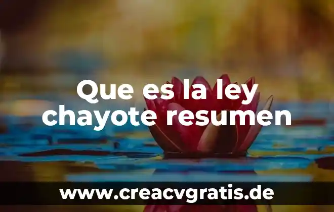 Resumen de la iso 19011 que es 4 Que es la ley chayote resumen