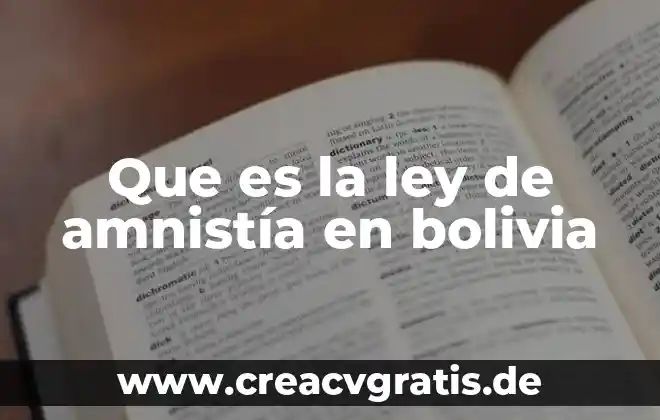 Que es de planta o temporal 3 Que es la ley de amnistía en bolivia