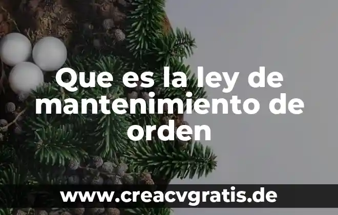 Qué es una orden de compra en contabilidad 3 Que es la ley de mantenimiento de orden
