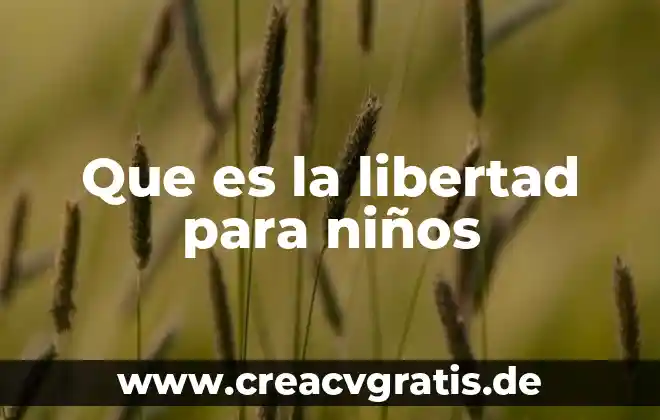 Que es libertad tipos 4 Que es la libertad para niños