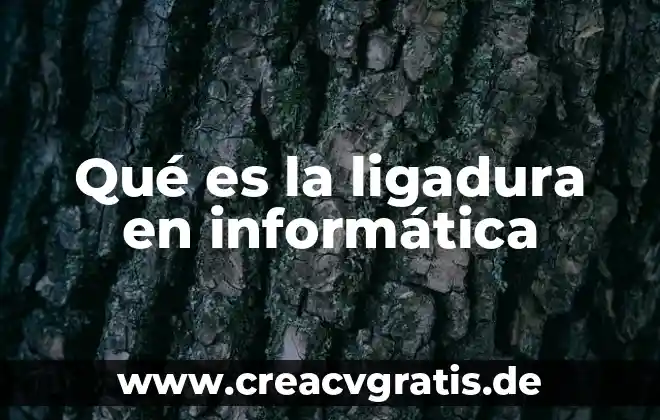 Qué es un pictograma en informática 4 Qué es la ligadura en informática