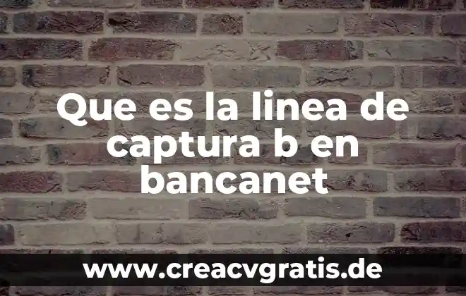 Qué es la línea de fuego del Pacífico 8 Que es la linea de captura b en bancanet