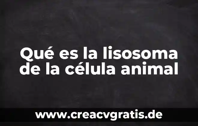 Qué es el citoplasma de la célula 6 Qué es la lisosoma de la célula animal