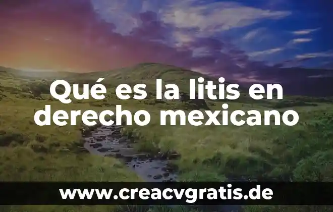 Que es el hombre en derecho 5 Qué es la litis en derecho mexicano