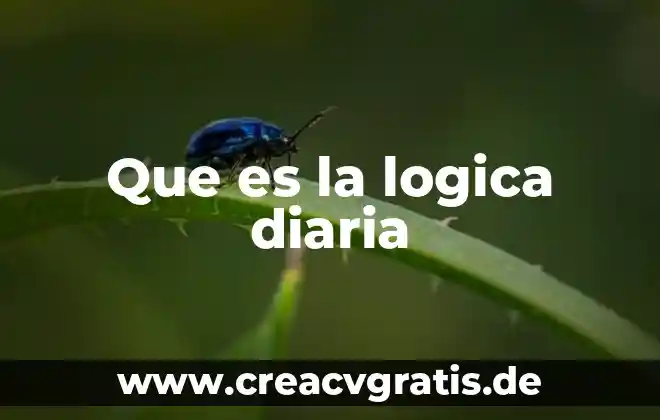 Por que es importante la fisica en la vida diaria 8 Que es la logica diaria