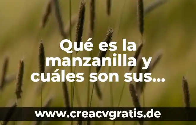 Qué es la electrónica y cuáles son sus tipos 8 Qué es la manzanilla y cuáles son sus beneficios