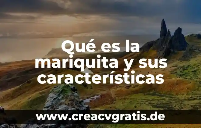 Qué es Gangosa Yahoo 5 Qué es la mariquita y sus características