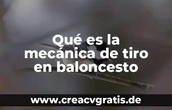 Qué es el tiro vertical y cuál es su signo 5 Qué es la mecánica de tiro en baloncesto
