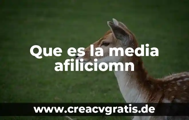 Qué es luna media 8 Que es la media afiliciomn