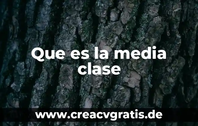 Que es y para que sirve media wiki 4 Que es la media clase
