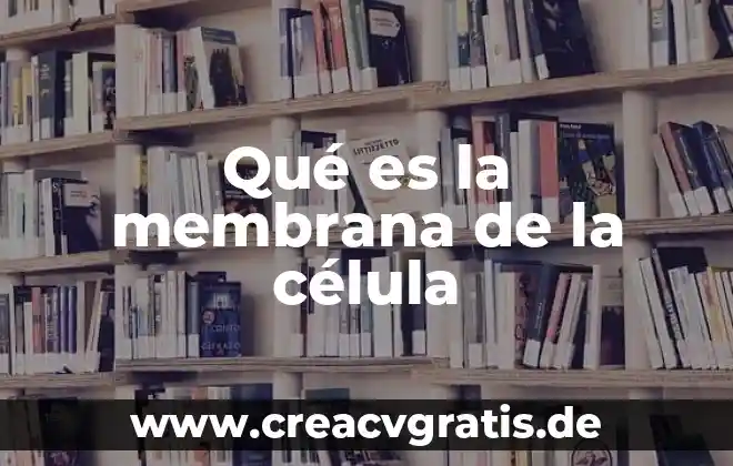 Que es una celula glial 3 Qué es la membrana de la célula