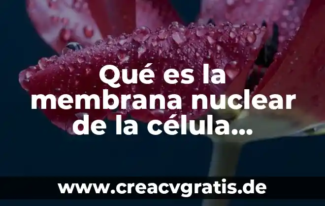 Reino animal vegetal que es 6 Qué es la membrana nuclear de la célula vegetal