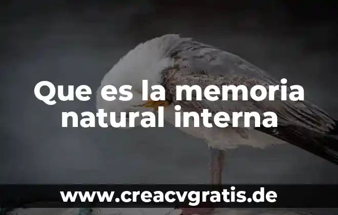 Que es la planta de avaz 5 Que es la memoria natural interna