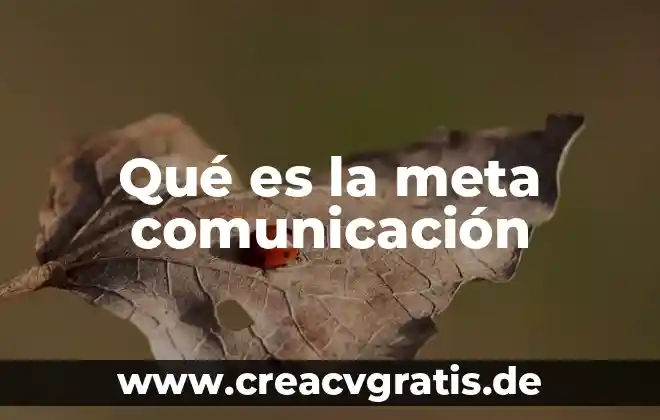 Qué es la comunicación fática 3 Qué es la meta comunicación