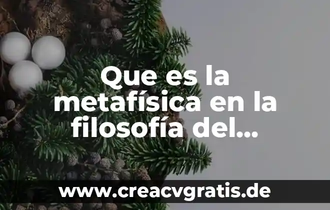 Qué es un párrafo características tipos 8 Que es la metafísica en la filosofía del derecho