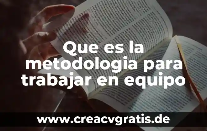 Qué es un equipo forrajero significado 8 Que es la metodologia para trabajar en equipo