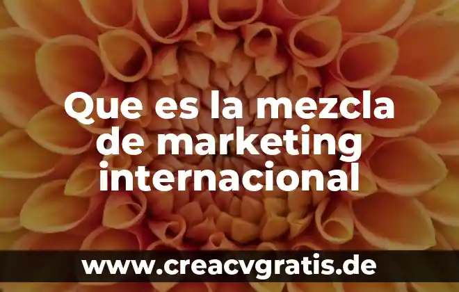 Que es marketing no diferenciado ejemplos 5 Que es la mezcla de marketing internacional