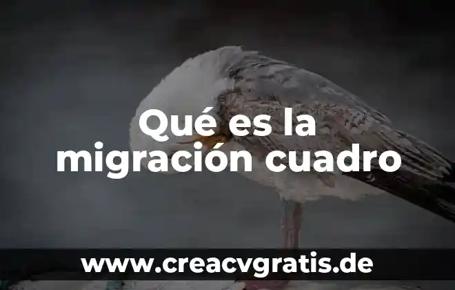 Que es el cuadro clínico 6 Qué es la migración cuadro