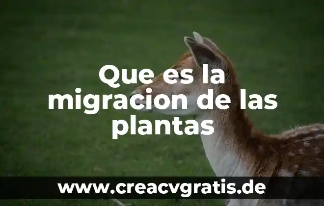 Por que es importante el sol en las plantas 7 Que es la migracion de las plantas