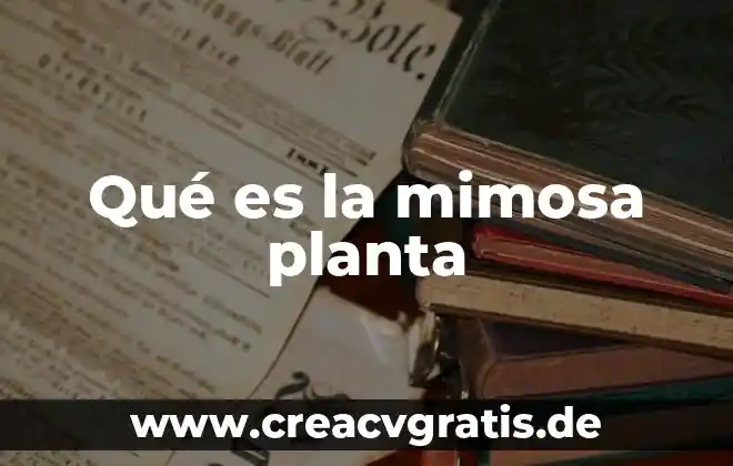 Qué es una planta y anatomía de una planta 4 Qué es la mimosa planta