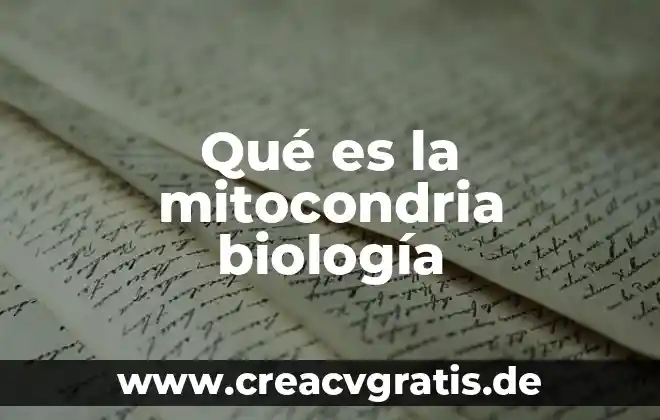 Qué es mitocondria de célula animal 5 Qué es la mitocondria biología