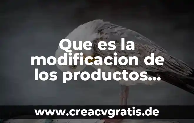 Modificación de conducta que es y como aplicarla marthin 3 Que es la modificacion de los productos actuales