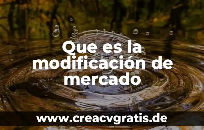 Que es la modificacion de los productos actuales 3 Que es la modificación de mercado