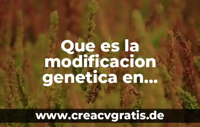 Que es la modificacion de los productos actuales 6 Que es la modificacion genetica en organismos