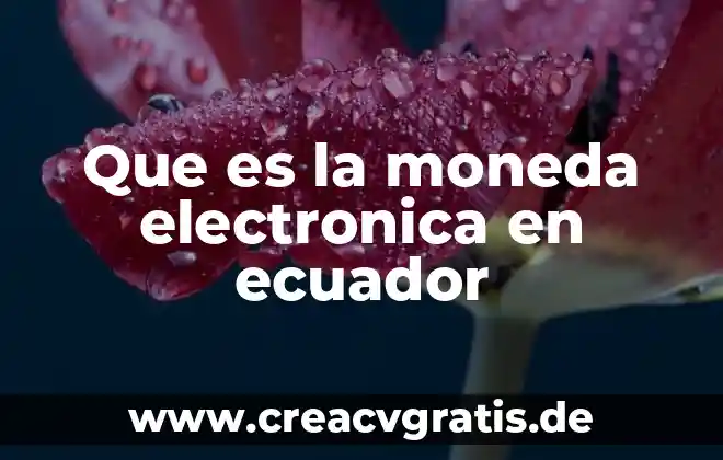 Qué es una firma electrónica base 64 8 Que es la moneda electronica en ecuador