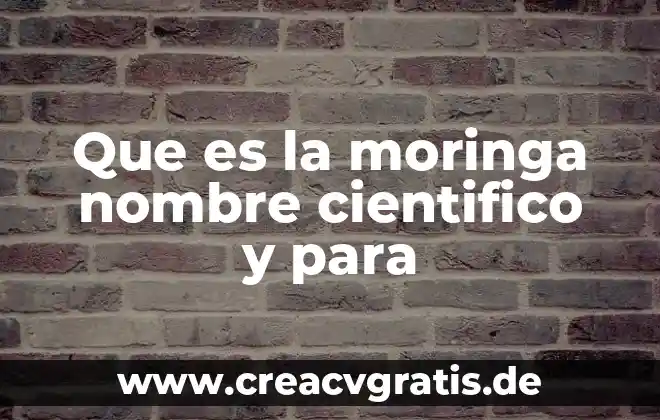 Que es nombre cientifico uso de la hierbabuena y para 7 Que es la moringa nombre cientifico y para