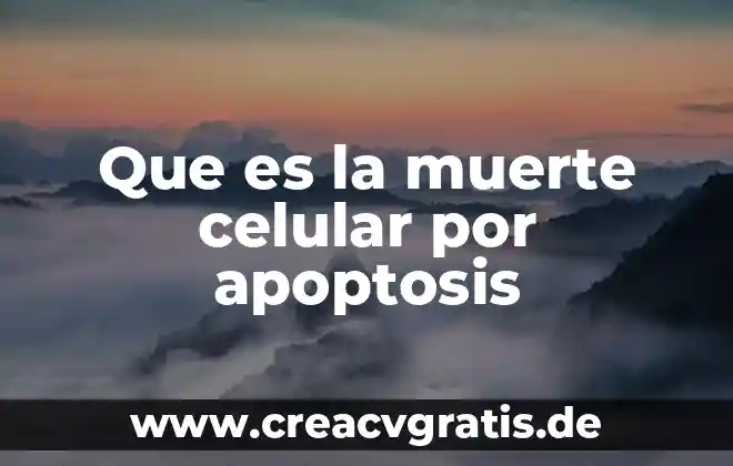Que es debatirse entre la vida y la muerte 8 Que es la muerte celular por apoptosis