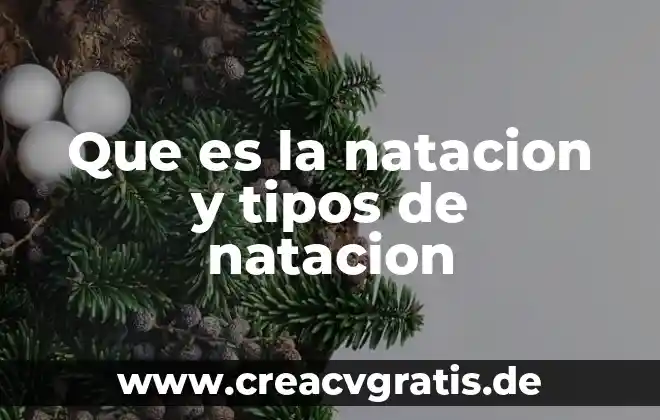 Qué es tarifa y sus tipos 7 Que es la natacion y tipos de natacion