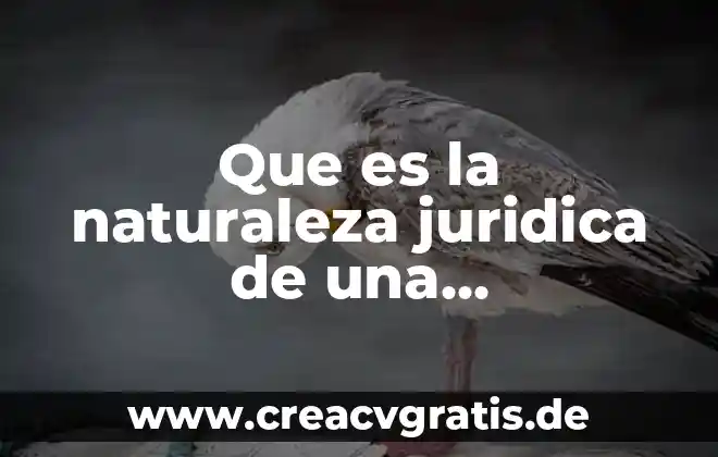 Que es la via publica y sus partes 6 Que es la naturaleza juridica de una universidad publica