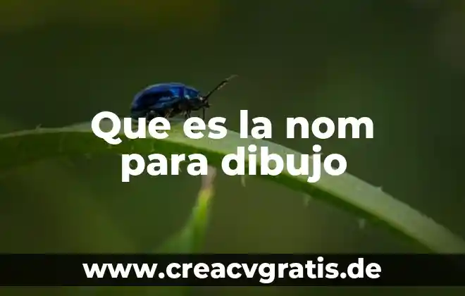 Que es dibujo figurativo 4 Que es la nom para dibujo