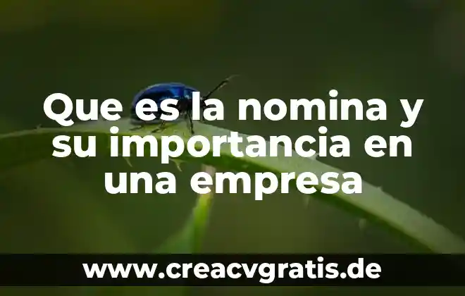 Que es valor indicardor dentro de una empresa 3 Que es la nomina y su importancia en una empresa