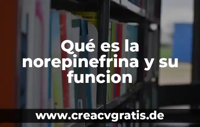 Que es la palabra boga 6 Qué es la norepinefrina y su funcion