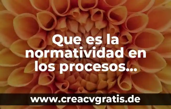 Que es evaluacion de los procesos tecnicos 3 Que es la normatividad en los procesos tecnicos
