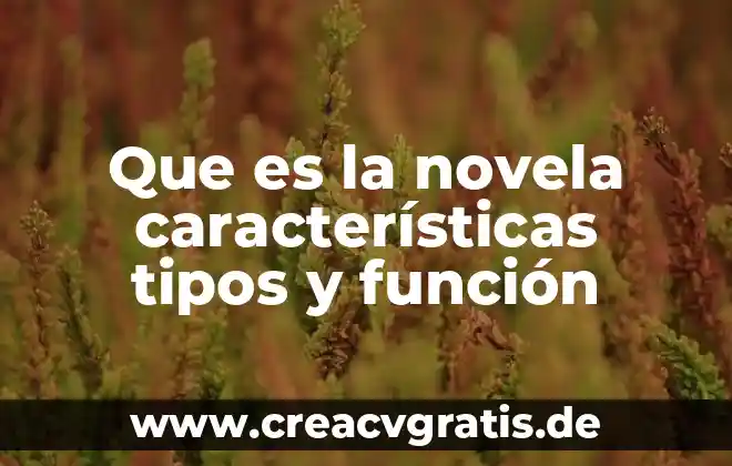 Que es el ensayo tipos y caracteristicas 4 Que es la novela características tipos y función