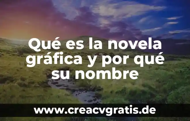 Que es una grafica de pictograma y como realizar 8 Qué es la novela gráfica y por qué su nombre