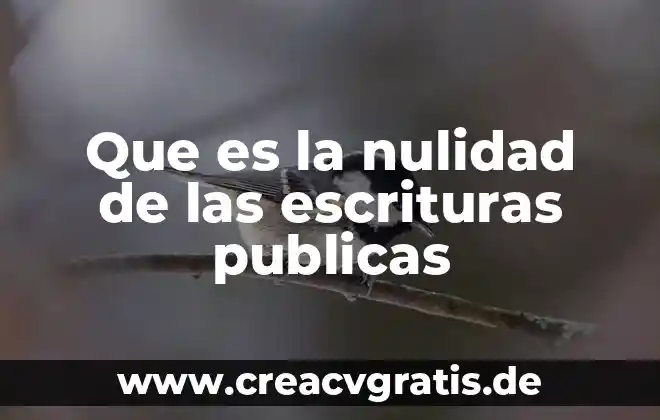 Que es la licenciatura en contaduria y finanzas publicas 4 Que es la nulidad de las escrituras publicas