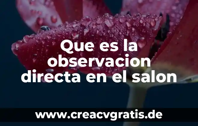 Que es muguet significado 7 Que es la observacion directa en el salon