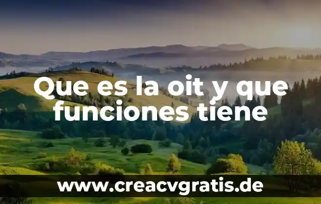 Qué es el unicef y sus funciones 4 Que es la oit y que funciones tiene